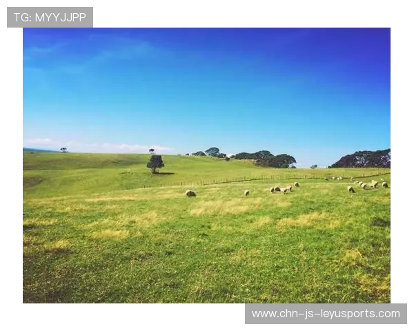 新西兰继续稳定发挥，晋级决赛在望，新西兰whv2021