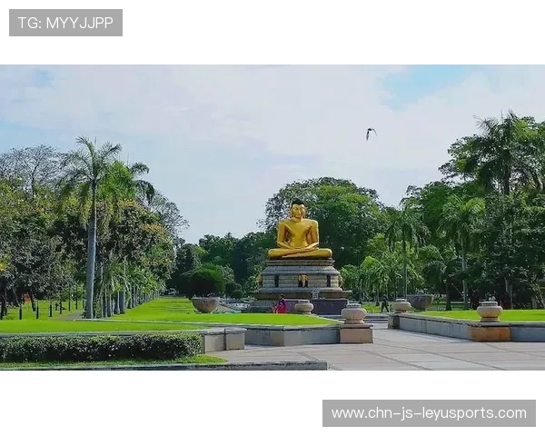 斯里兰卡投球手刷新纪录，全场焦点，斯里兰卡运动